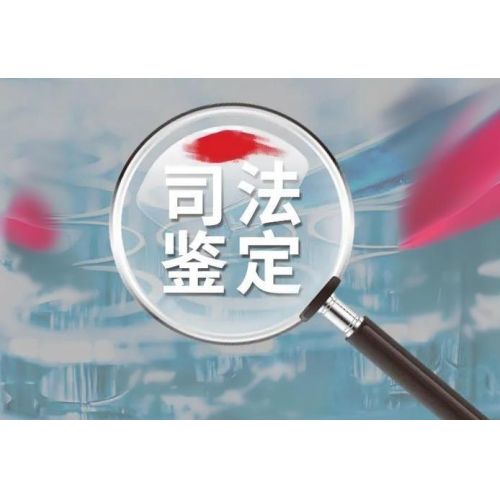 人体损伤鉴定标准一览表（2024年）
